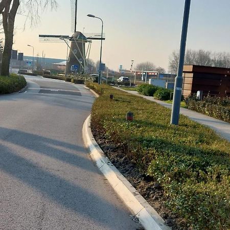 Вилла Wijngaardstraat 7A Домбург Экстерьер фото